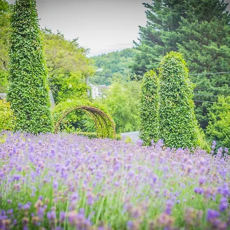 別荘 La Maison Du Verger デュルビュイ
